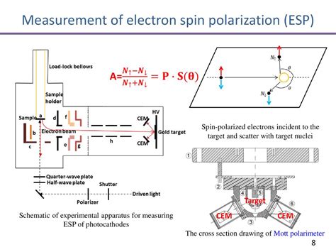 measure electron spin polarimeter|electron polarization research.